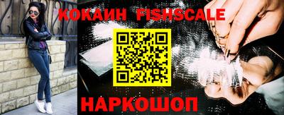 гидра Будённовск