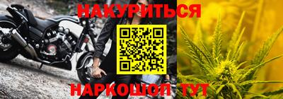 гидра Будённовск