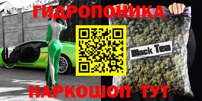 гидра Будённовск