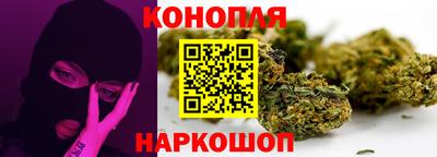 гидра Будённовск
