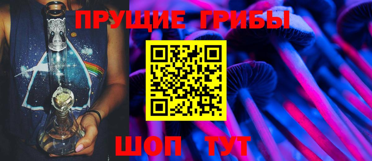 Ефремов  Псилоцибиновые грибы GOLDEN TEACHER  Вход с VPN 